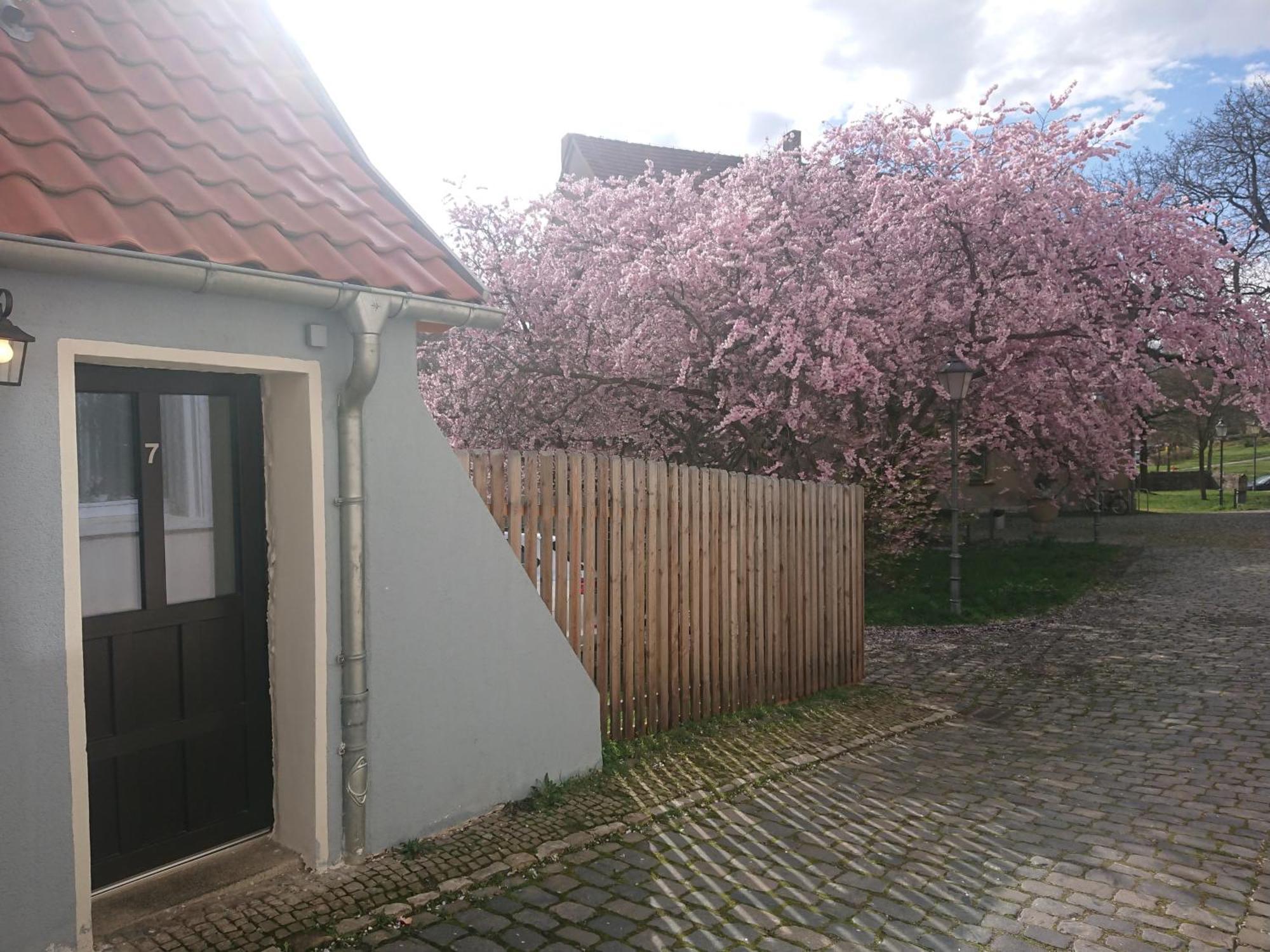 Ferienhaus Aschersleben Bagian luar foto